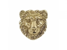 Cabeza león
