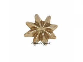 Estrella 8 puntas pequeña